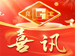 喜訊｜良固閥門產(chǎn)品入選2025年度浙江省優(yōu)秀工業(yè)新產(chǎn)品認定名單